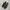VANS Vintage Casual Sneakers Wanita black photo 2