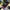 Stussy Vintage Streetwear Hat Pria black photo 1