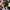 Stussy Vintage Streetwear Hat Pria black photo 5