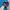 Asics Vintage Y2K Track jacket Pria purple photo 4