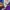 Asics Vintage Y2K Track jacket Pria purple photo 6
