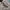 Nike Streetwear Y2K Trench coat Pria tan photo 6