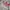 Adidas Streetwear Casual Hoody Pria white gray photo 5