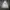 Adidas Streetwear Casual Hoody Pria white gray photo 1