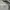 Adidas Streetwear Casual Hoody Pria white gray photo 3