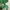 Uniqlo Casual T-shirt Pria green photo 5