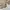 Dickies Streetwear Track jacket Pria tan photo 5