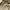Dickies Streetwear Track jacket Pria tan photo 6