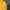 Abercrombie & Fitch Luxury Hoody Pria yellow photo 2