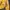 Abercrombie & Fitch Luxury Hoody Pria yellow photo 5