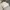 Abercrombie & Fitch Luxury Hoody Pria gray photo 3