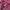 Nike Luxury Hoody Pria burgundy photo 2