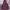 Nike Luxury Hoody Pria Burgundy