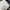 Streetwear Short Wanita white photo 2