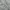 Arnold Palmer Streetwear Sportswear Sweater Pria gray photo 3