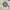 Arnold Palmer Streetwear Sportswear Sweater Pria gray photo 1