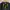 Vintage Y2K Parka Pria black yellow photo 2