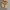 Yves Saint Laurent YSL Gorpcore Hoody Pria brown photo 2