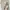 New Balance Skater Sportswear Sweatshirt Pria cream photo 1