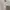 New Balance Skater Sportswear Sweatshirt Pria cream photo 2