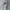 Jeep Y2K Hoody Pria gray photo 3