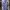 Hugo Boss Luxury Polo shirt Pria purple photo 1