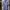 Hugo Boss Luxury Polo Shirt Pria Purple