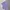 Hugo Boss Luxury Polo shirt Pria purple photo 2