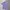 Hugo Boss Luxury Polo Shirt Pria Purple