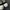 Rick Owens Grunge Goth Sneakers Pria white black photo 3