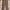 Dickies Casual Casual pants Pria brown gray photo 1