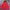 Champion Streetwear Hoody Pria Red