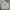 Obey Streetwear Hoody Pria gray photo 1