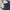 Dickies Casual Casual pants Pria navy blue photo 4