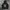 Moncler Luxury Hoody Pria black photo 3
