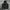 Moncler Luxury Hoody Pria Black