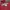 Champion Casual Hoody Pria red photo 1