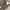 Dickies Casual Casual pants Pria green photo 4