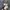 Gorpcore Puffer jacket Pria green photo 7