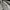Hush Puppies Y2K Casual Polo shirt Pria gray photo 3