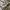 Hush Puppies Y2K Casual Polo shirt Pria gray photo 5