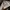 Hush Puppies Y2K Casual Polo shirt Pria gray photo 1