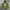 Gucci Luxury Hoody Pria green photo 2