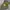 Gucci Luxury Hoody Pria green photo 1
