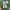 Vintage Puffer jacket Pria green photo 6