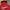 Vintage Streetwear Hoody Pria red photo 4