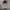 Palm Angels Streetwear Hoody Pria black gray photo 5