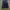 Tommy Hilfiger Casual Harrington Jacket Pria Navy