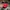 Casual Hat Pria red photo 1