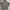 The North Face Gorpcore Track jacket Pria brown photo 1